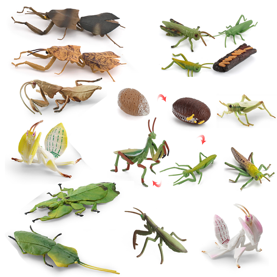 Realistic Orchid Mantis Dead L - огляд і ціна Home Improvement Kids