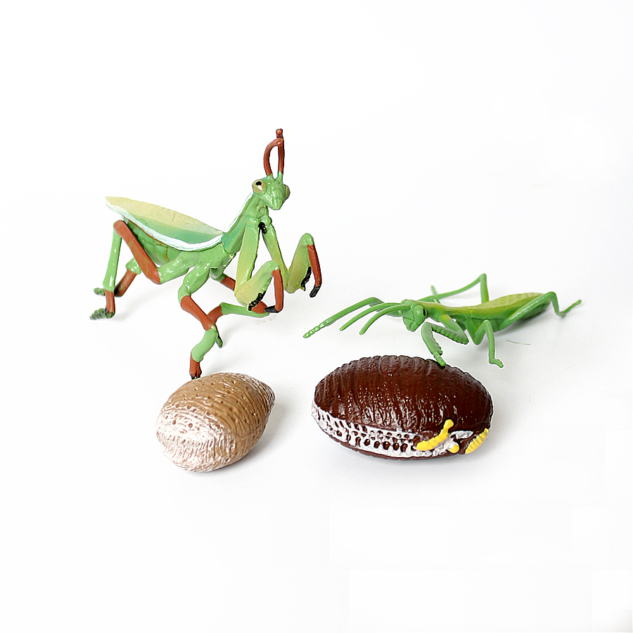 Realistic Orchid Mantis Dead L - огляд і ціна Home Improvement Kids